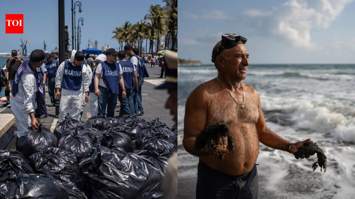 Pipeline leak near Pemex platform causes Gulf of Mexico oil spill, killing wildlife and contaminating reserves: officials