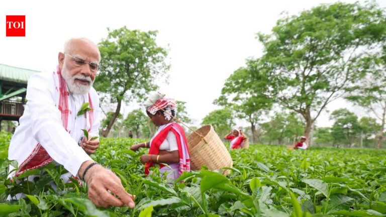 Prime Minister Modi visits Assam tea gardens, picks tea leaves, takes selfies with workers, calling it an “unforgettable experience”