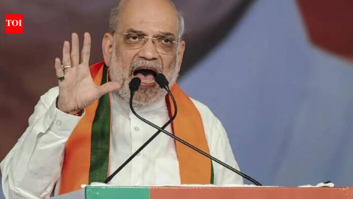 'Provide biryani to Pakistani terrorists': Amit Shah attacks Mamata Banerjee at Bengal rally

