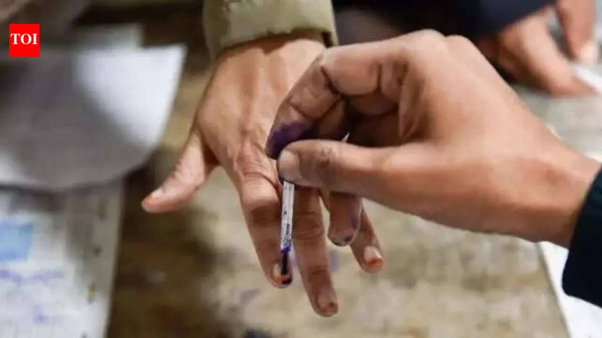 Puducherry elections: 23% candidates face criminal cases, TVK leads with 10 candidates