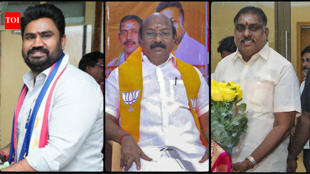 Puducherry poll: More than 40% of candidates are 'crorepatis'; how big is the gap between rich and poor