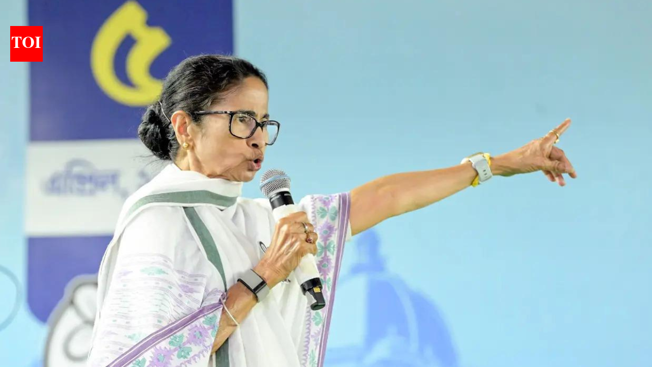 RG Kar victim's mother threatens to 'beat' Didi, TMC seeks action