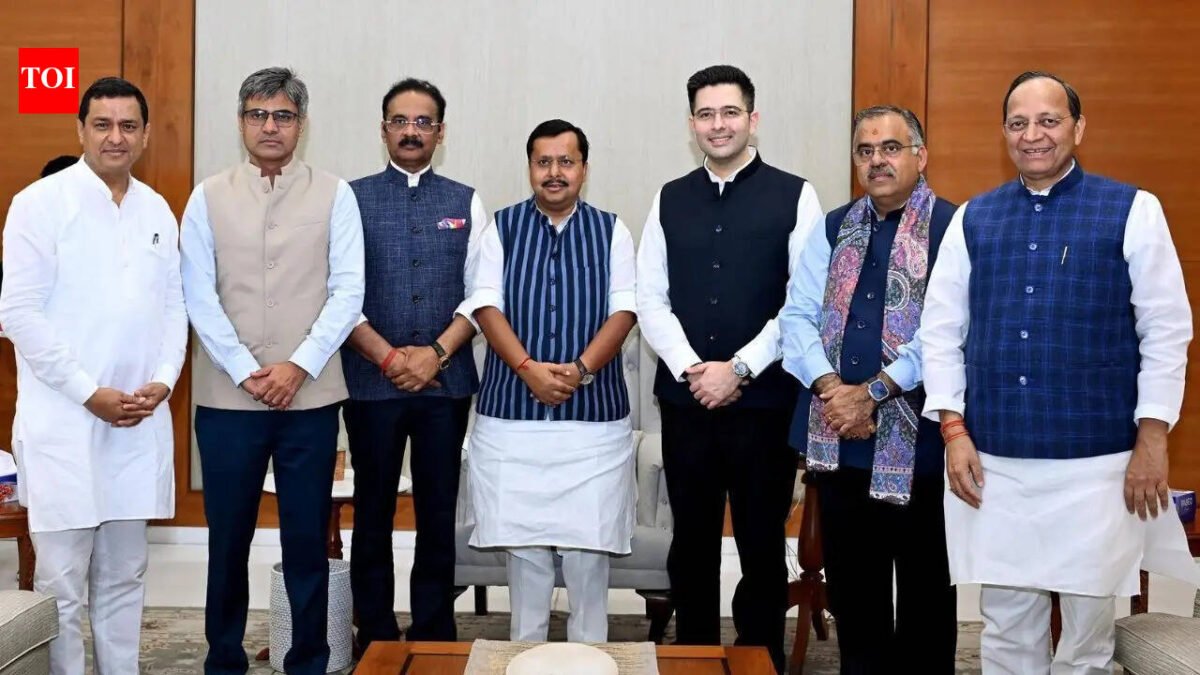 Raghav Chadha, 6 MPs quit AAP: How the numbers in the Lok Sabha are changing