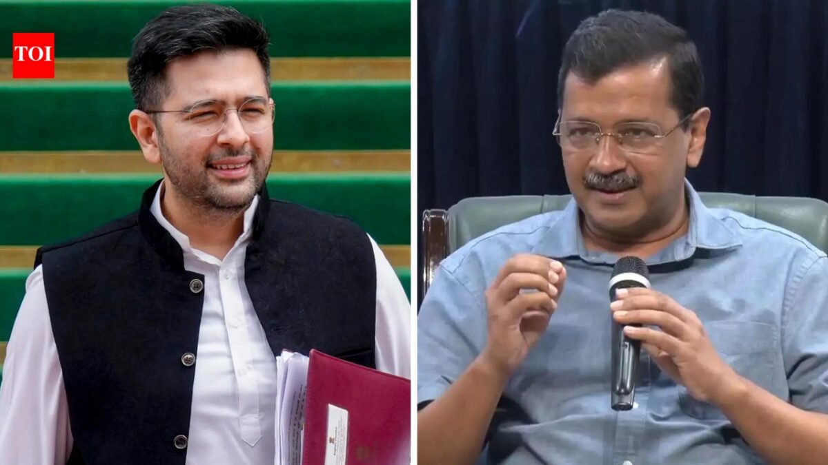 Raghav Chadha out? AAP's Rajya Sabha reshuffle sparks rumours; what went wrong