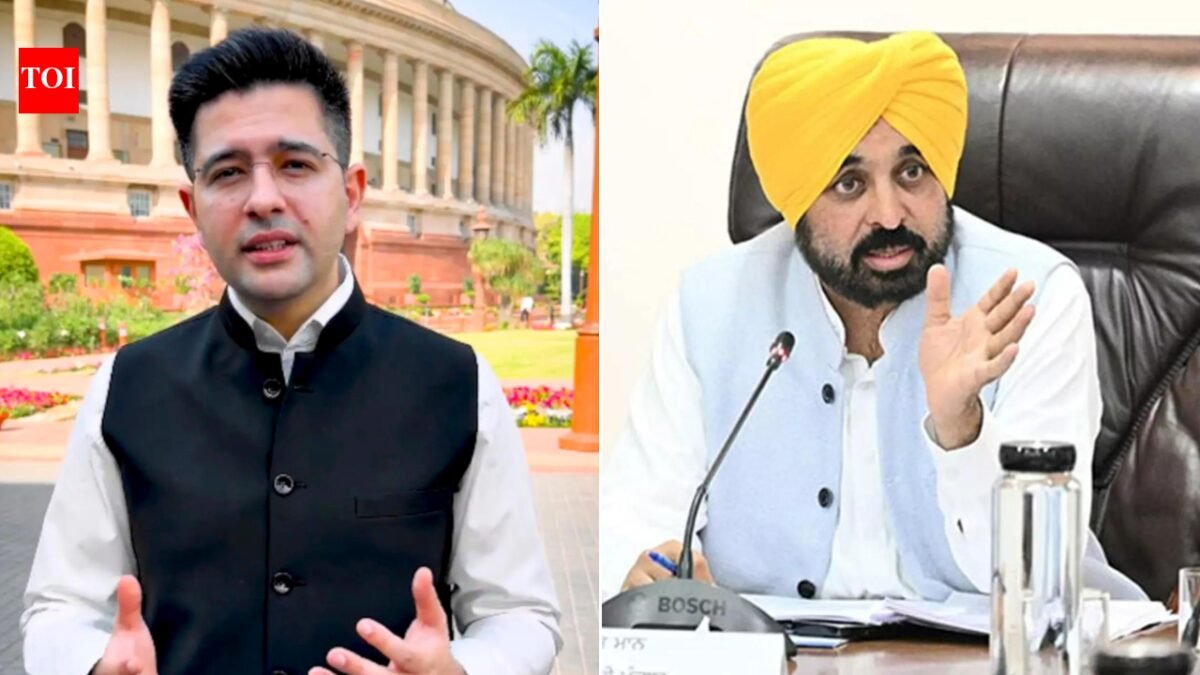 Raghav says he won't be intimidated, AAP top brass says he's addicted to 'soft PR'