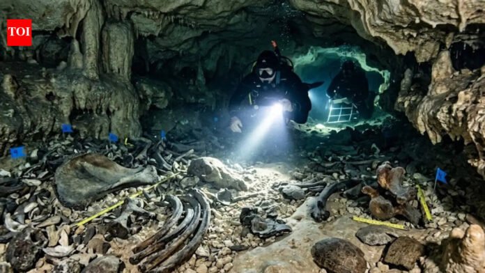 Rare Ice Age fossil found in Texas cave could rewrite ancient climate history World News

