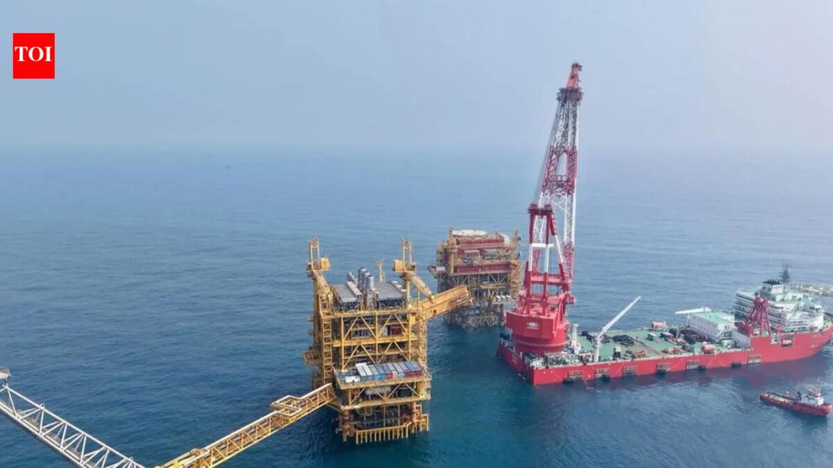 'Requests under review': Maldives, Sri Lanka and many other countries seeking energy supplies from India, MEA says