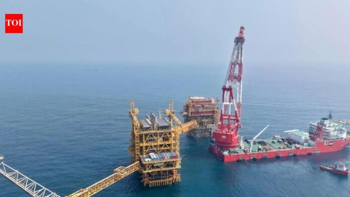 'Requests under review': Maldives, Sri Lanka and many other countries seeking energy supplies from India, MEA says

