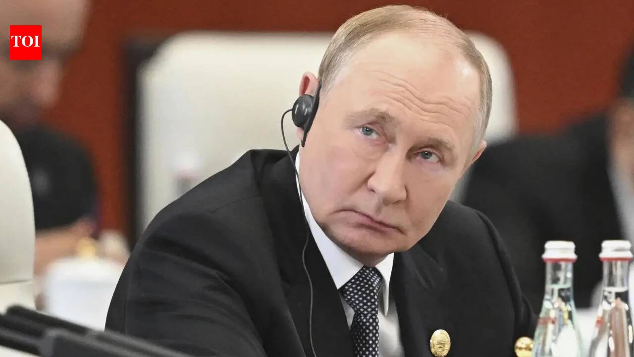 Russian President Vladimir Putin will visit India to attend the BRICS Summit