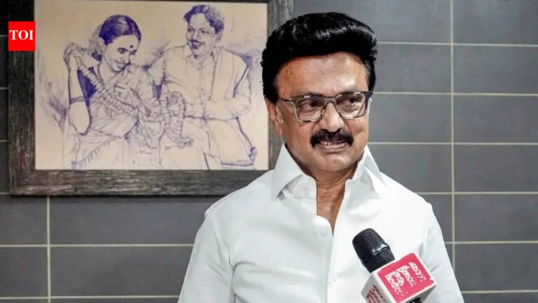 ‘Saffron lies are better than blatant lies’: Tamil Nadu Chief Minister Stalin attacks BJP-led Center ahead of polls