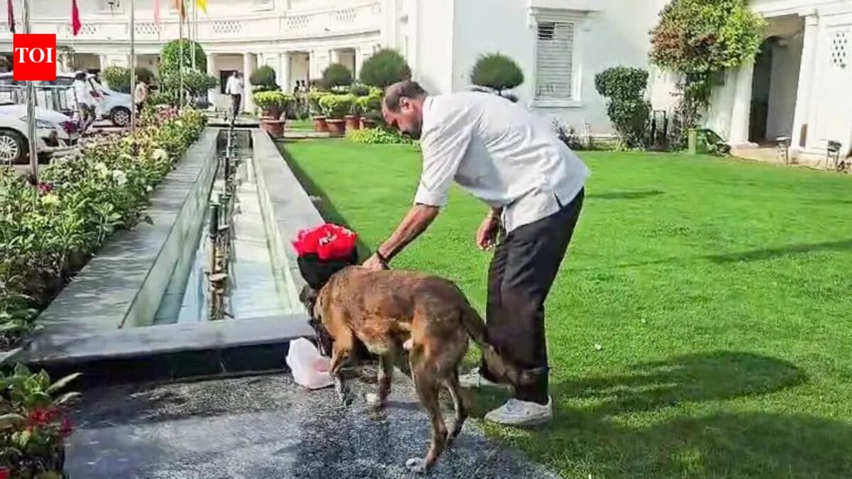 Security scare in Delhi Assembly: Police arrest suspect, seize car; no bomb-like object found