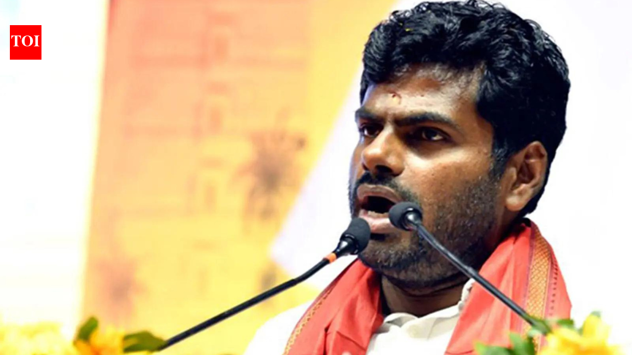Tamil Nadu polls: Annamalai slams DMK over governance, corruption