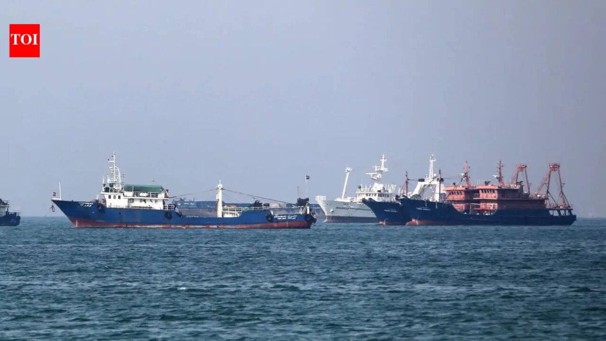 'Targeting commercial shipping is unacceptable': India urges safe navigation in Strait of Hormuz at UN