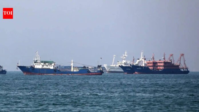 'Targeting commercial shipping is unacceptable': India urges safe navigation in Strait of Hormuz at UN

