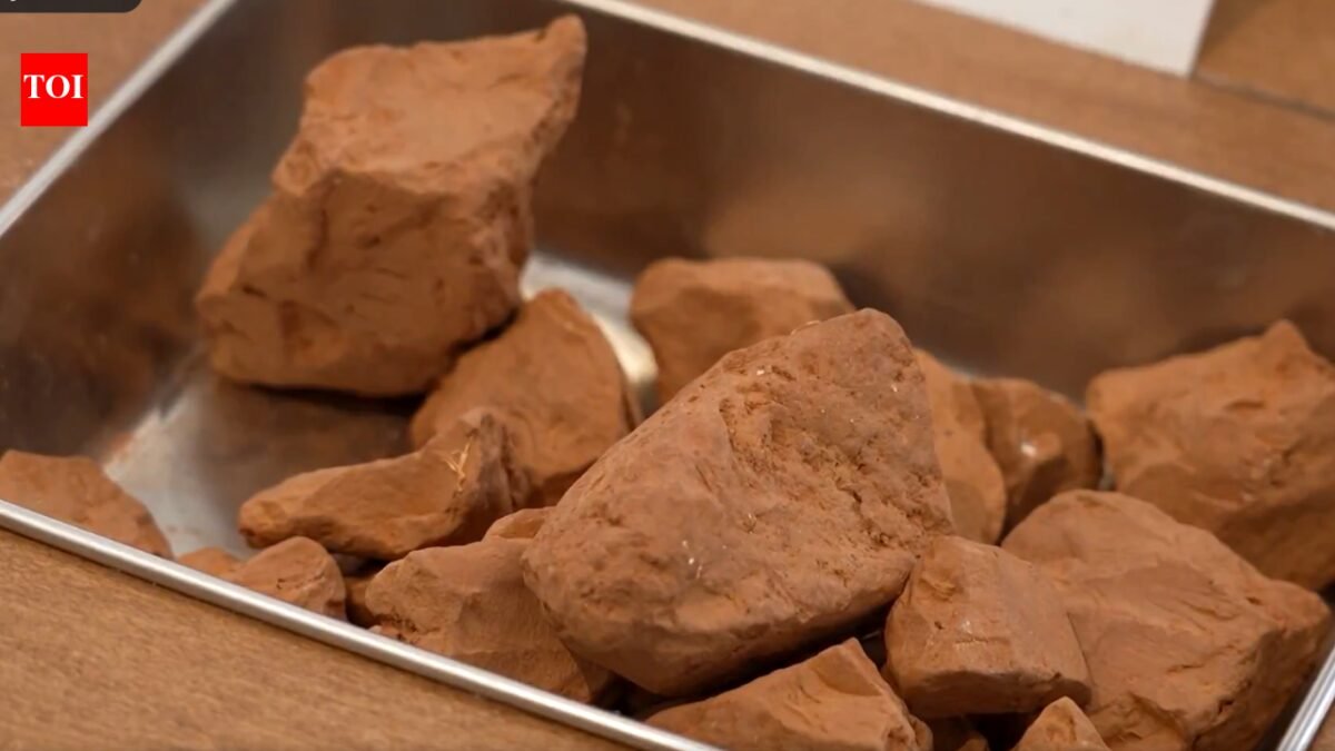 Taste the soil: London's Edible Earth Museum invites visitors to taste soil from around the world