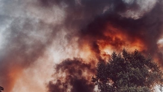 Hindustan Times News