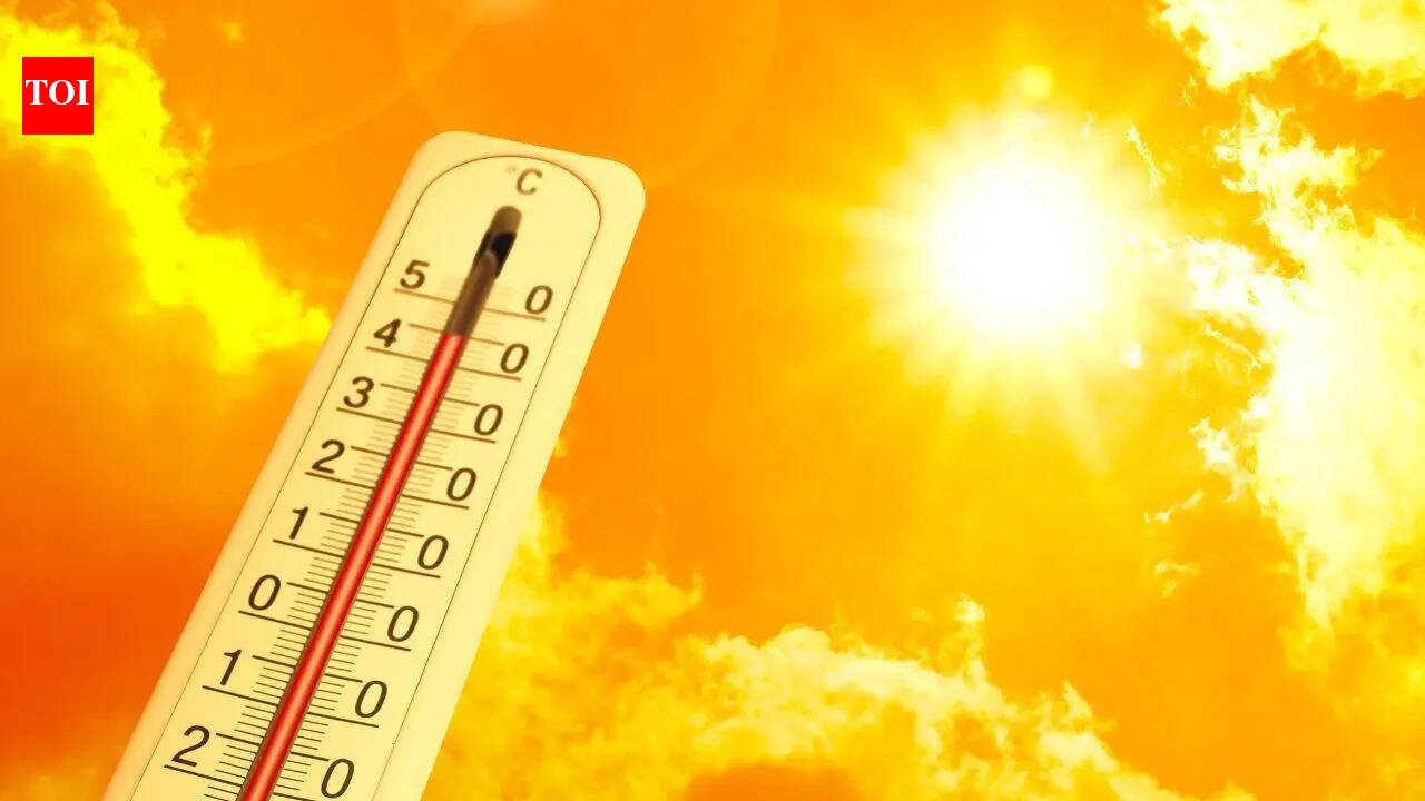 The hottest city in the world: India turns into a furnace, with city temperatures reaching an astonishing 46°C | World News