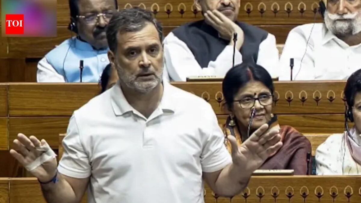 'The whole thing is about No. 16': Rahul Gandhi's interesting dig at Center amid delimitation debate