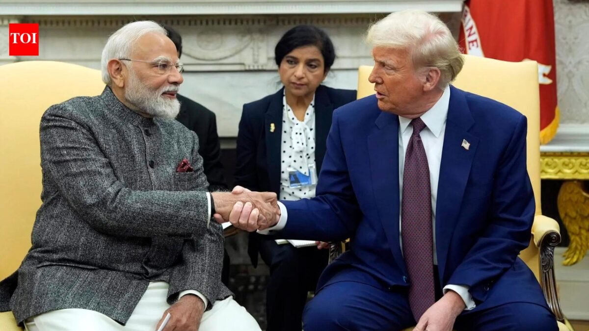 'Trump calls India a great country': US in crossfire mode after president's 'hell' comments