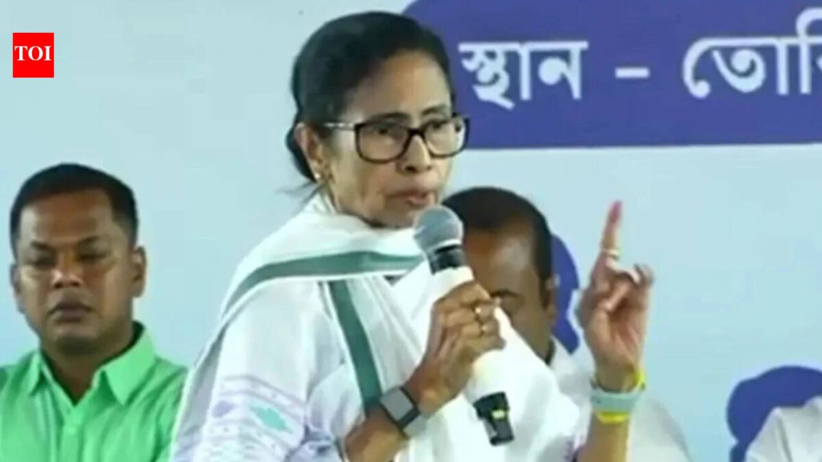 'Trying to bring in worst elements': Mamata accuses BJP of bringing in 'paid supporters' from outside Bengal ahead of polls