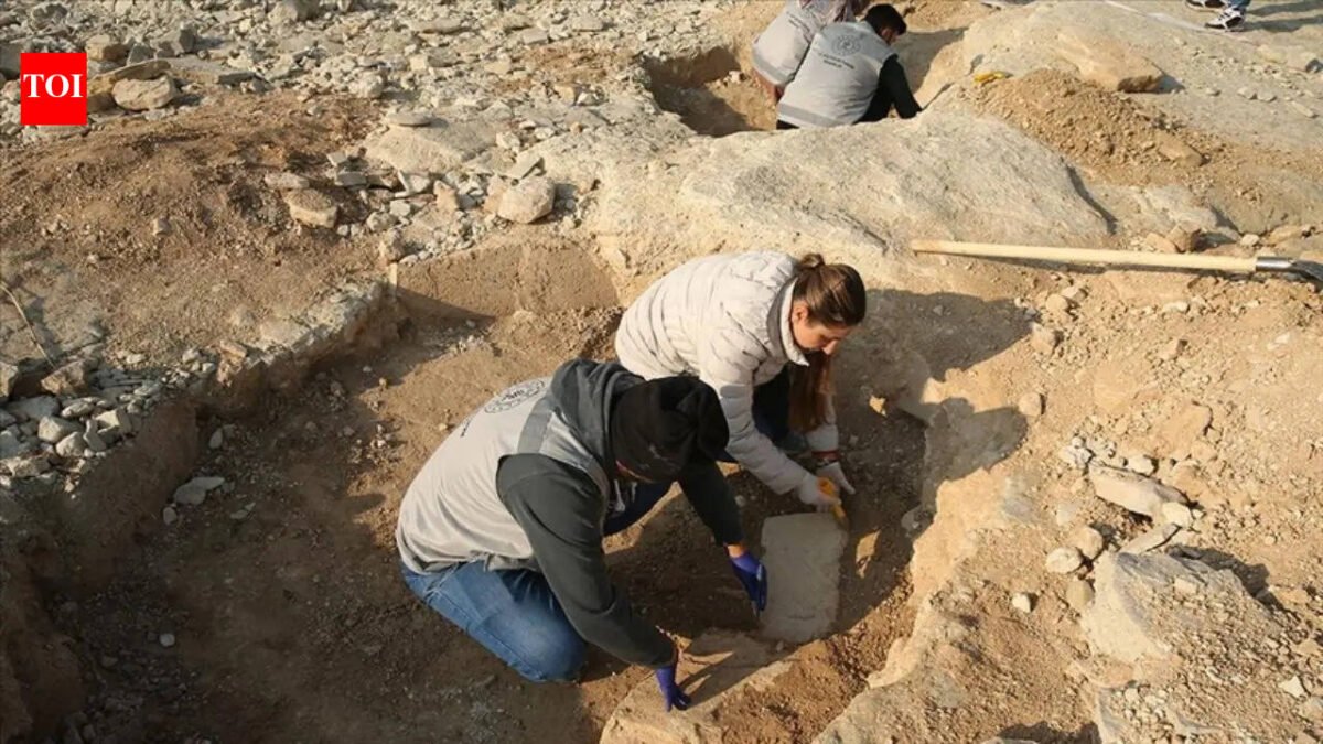 Türkiye Discovery: 11,000-year-old building discovered in Türkiye sheds light on early human life | World News