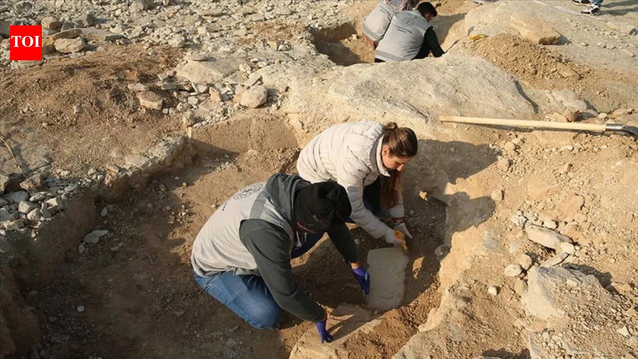 Türkiye Discovery: 11,000-year-old building discovered in Türkiye sheds light on early human life | World News