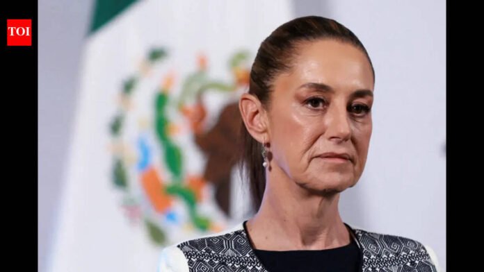 U.S. embassy staff killed in Chihuahua, Mexico's president says she didn't know what they were doing

