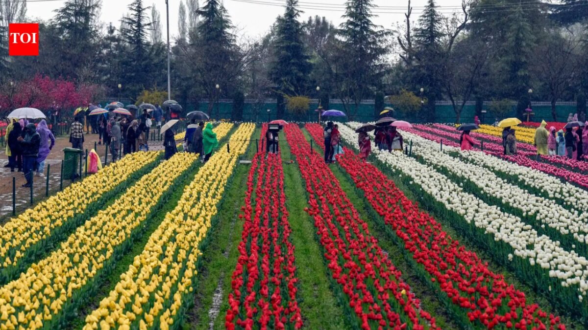Ward to Flowers: A Young Cancer Fighter’s Tulip Garden Tour