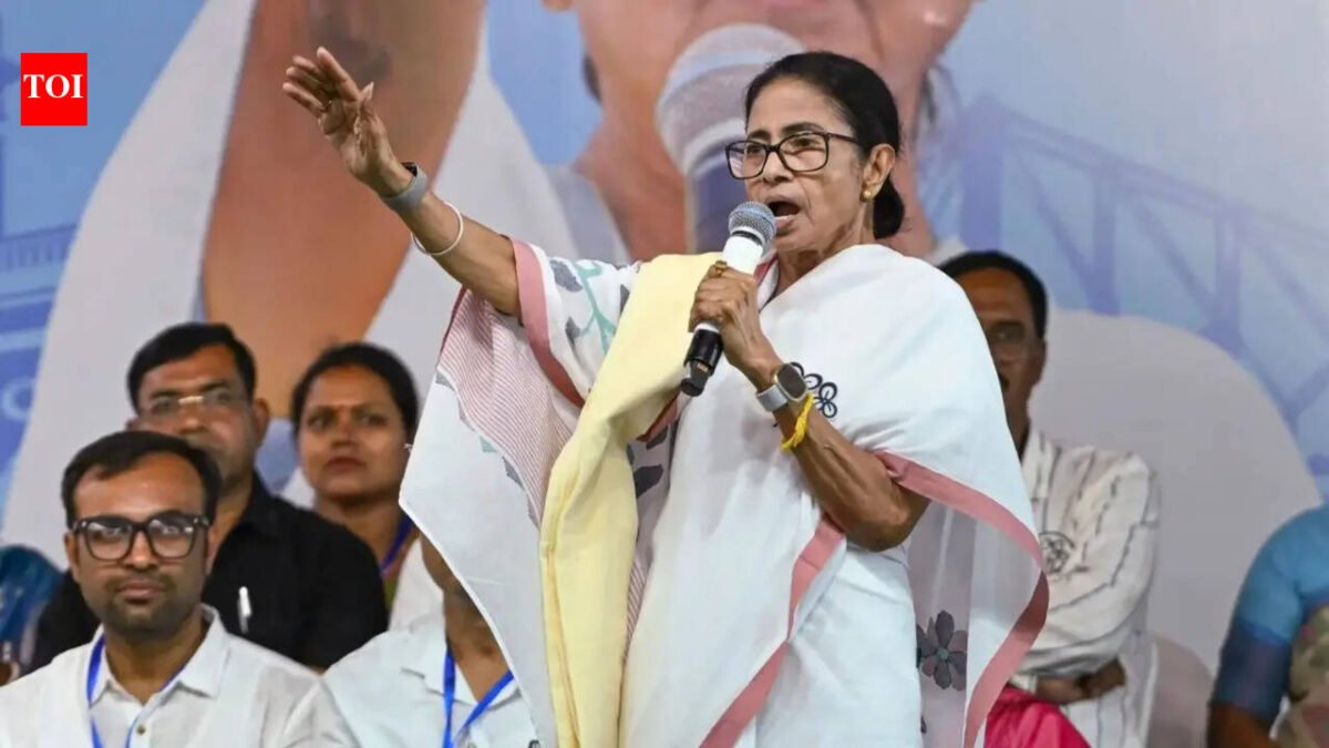 Watch: Mamata Banerjee dances traditional dance at Tanturia election rally