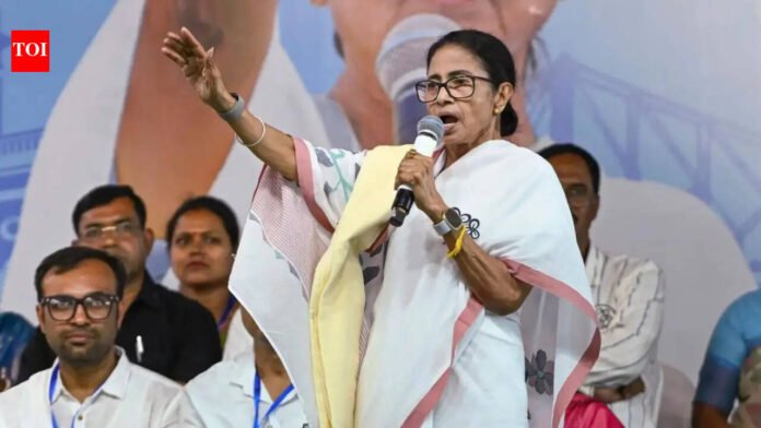 Watch: Mamata Banerjee dances traditional dance at Tanturia election rally

