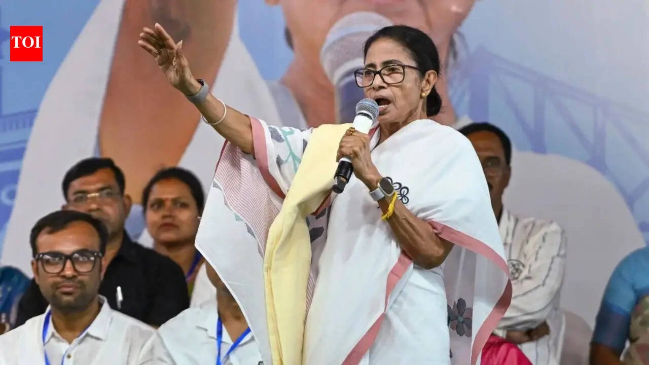Watch: Mamata Banerjee dances traditional dance at Tanturia election rally