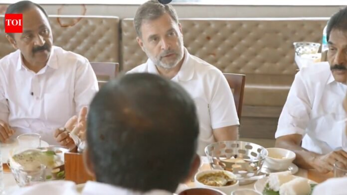 Watch: Rahul Gandhi enjoys 'appam and omelette' with UDF leaders ahead of Kerala Assembly polls

