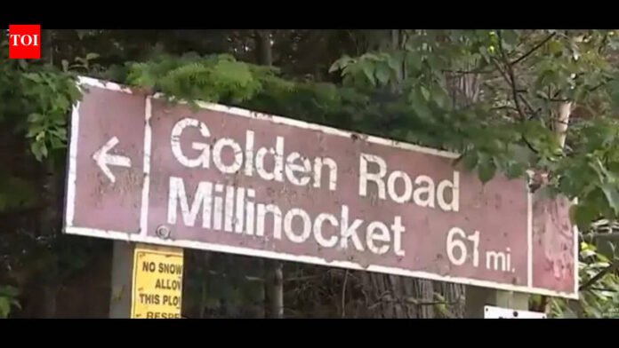 'We just made it, baby': Four 'British citizens' arrested for 'unknowingly' sneaking into US from Canada

