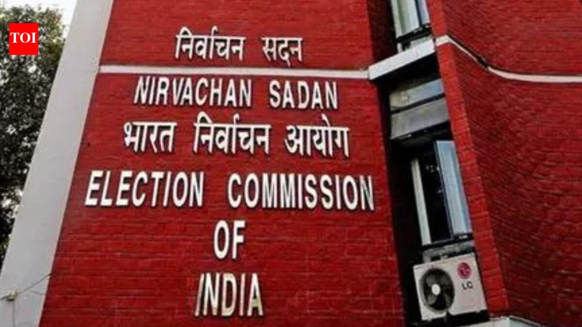West Bengal poll chaos: Villagers hold SIR officers 'hostage', EC asks NIA to probe case