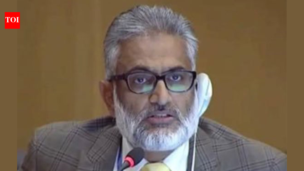Who is Sajjad Raja? UK reform candidate criticized for saying 'from river to sea'
