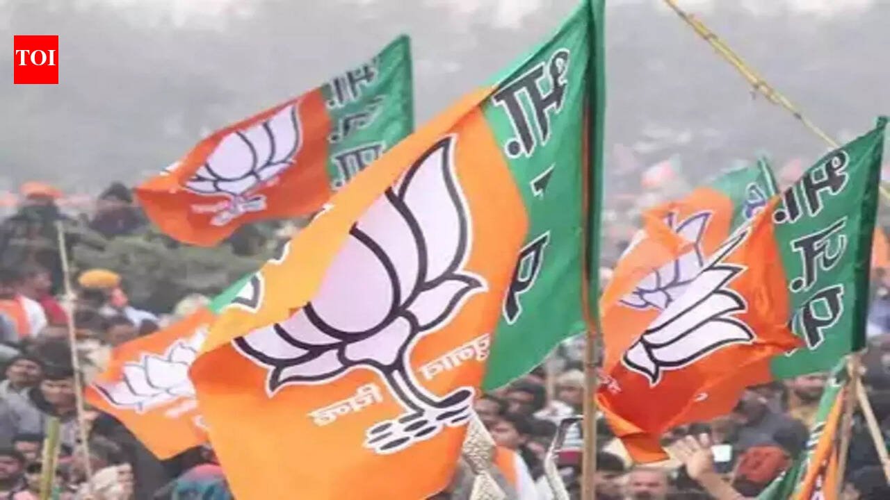 Who will be the next chief minister of Bihar? BJP may announce top job on Tuesday