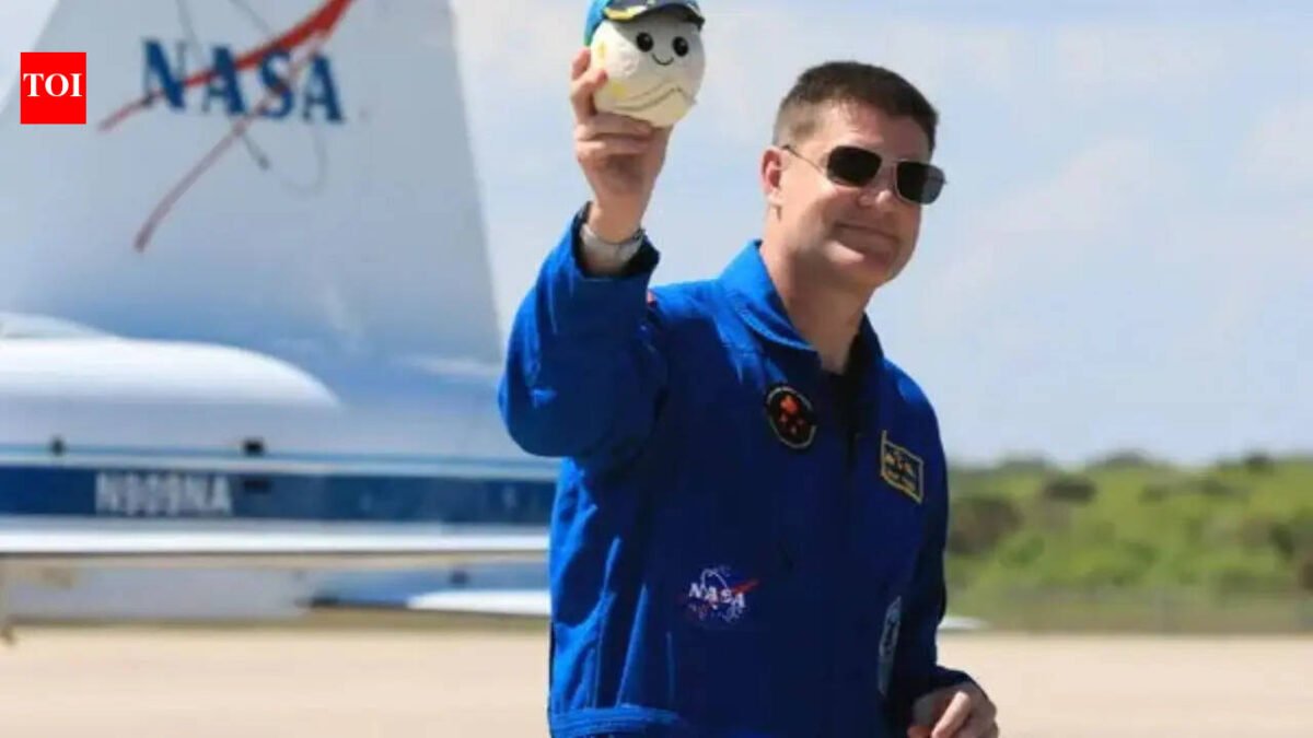 Why astronauts carry stuffed toys into space: Baby Yoda, Snoopy and other mascots used as floating zero-gravity indicators |