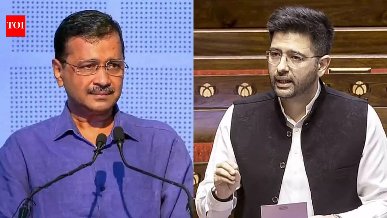 'You've become scared': AAP hits back after Raghav Chadha takes direct attack on leadership
