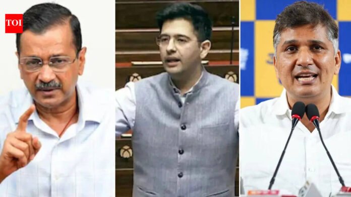 Z Security, ED raids: AAP's face-off with Raghav Chadha turns ugly; BJP moves on

