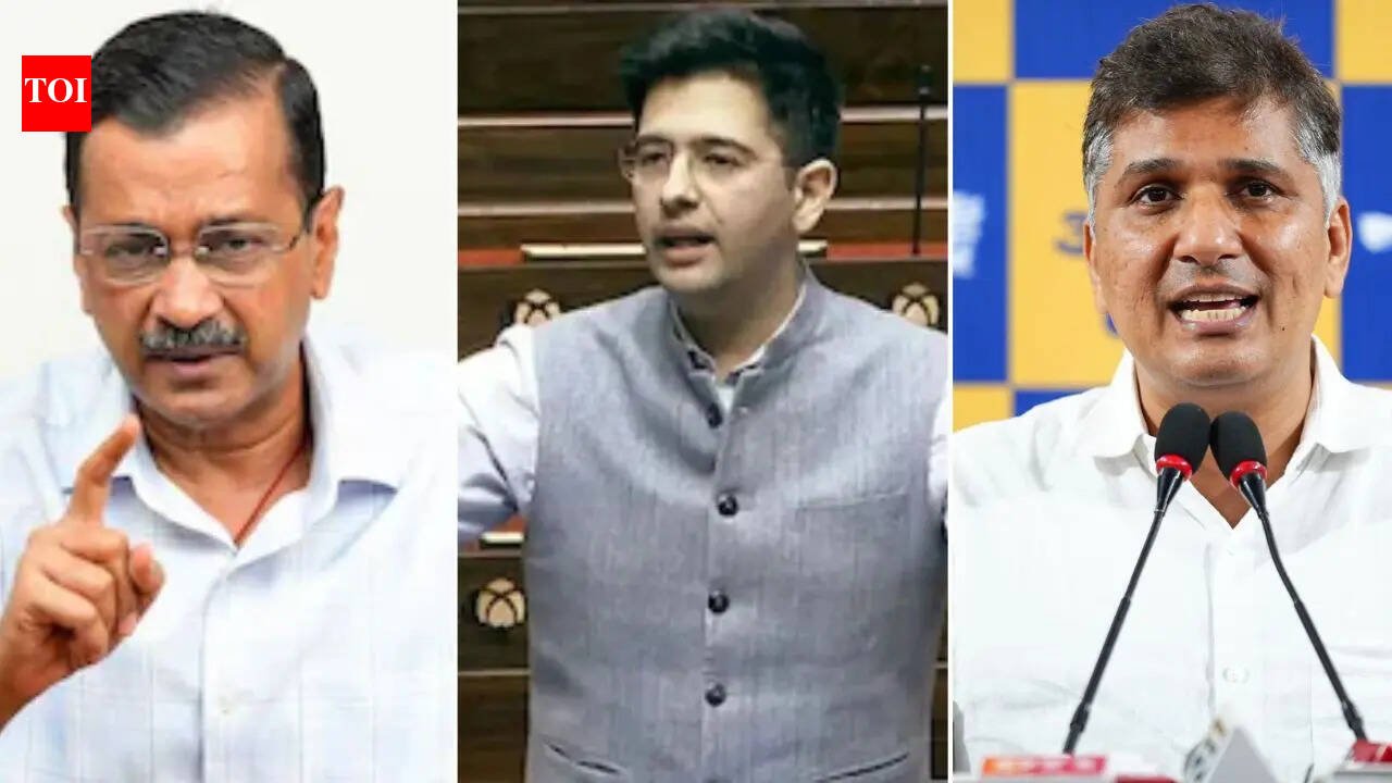Z Security, ED raids: AAP's face-off with Raghav Chadha turns ugly; BJP moves on