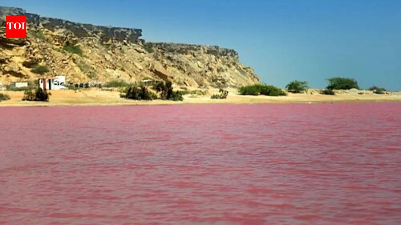 10 Pink Lakes Around the World: From Lake Hillier to Pink Lake | World News