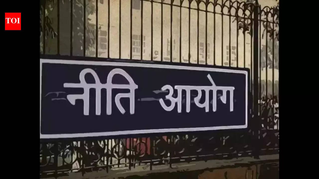 2 academics to join Niti Aayog