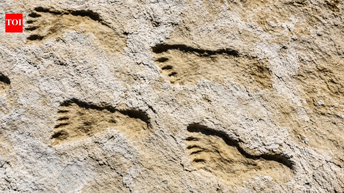 23,000-year-old footprints in New Mexico change scientists' view of first Americans World News