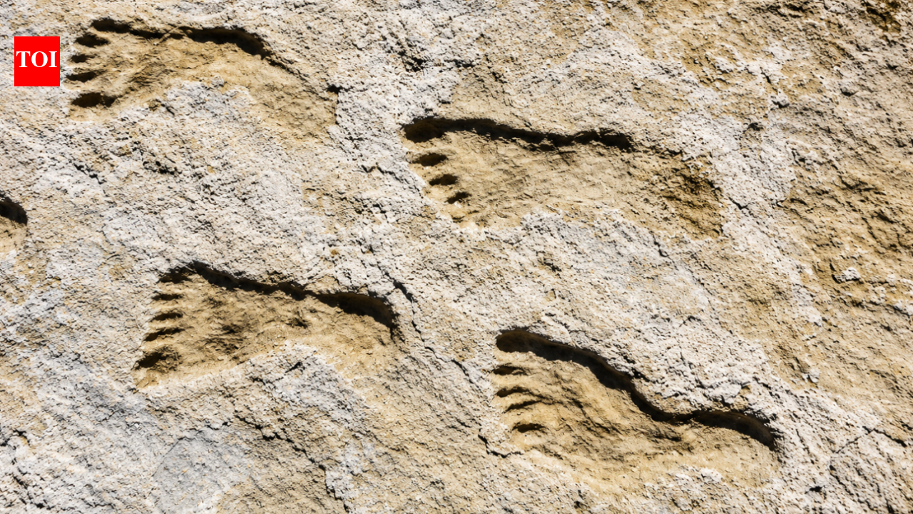 23,000-year-old footprints in New Mexico change scientists' view of first Americans World News