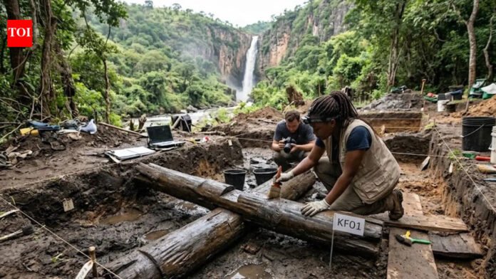 476,000-year-old wooden structure discovered at Kalambo Falls is changing human history | World News

