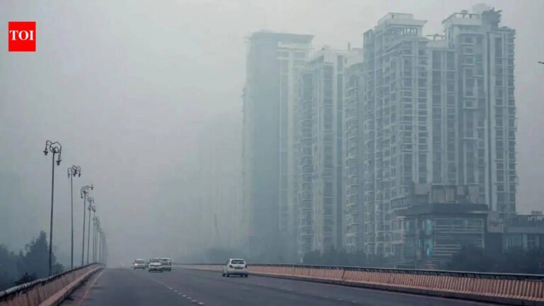 57,670 environmental and pollution-related crimes committed in 2024, most covered by anti-tobacco laws