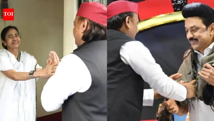 A message to Congress? Akhilesh shares pictures of Mamata and Stalin, posts cryptic 'people who don't give up' post

