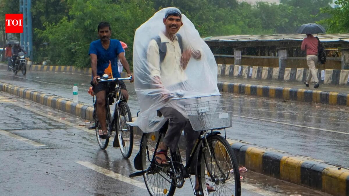 'Above normal' rainfall ensures many parts of India don't get hotter than usual