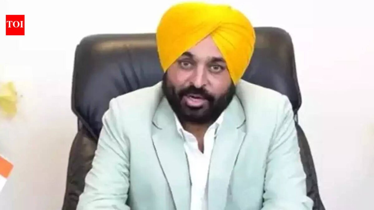 'All speculations settled': Bhagwant Mann as AAP govt wins confidence vote in Punjab Assembly