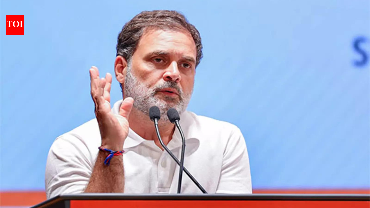 Allahabad High Court rejects FIR seeking over Rahul Gandhi's 'against Indian government' remarks